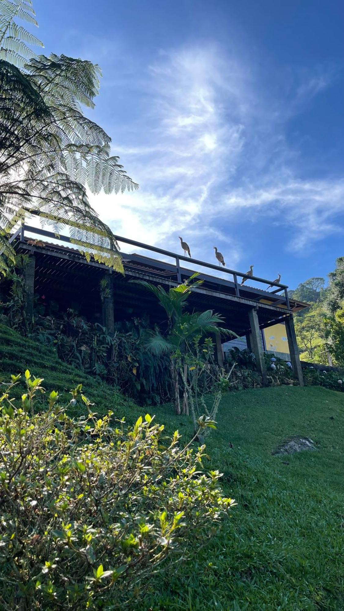 Sitio Com Piscina Natural E Cascata, Com Linda Vista Em Lumiar. Exteriör bild
