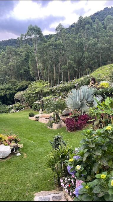 Sitio Com Piscina Natural E Cascata, Com Linda Vista Em Lumiar. Exteriör bild